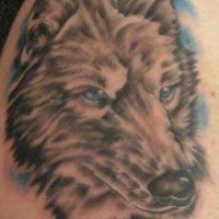 Nice wolf tattoo with blue eyes - Tattooimages.biz